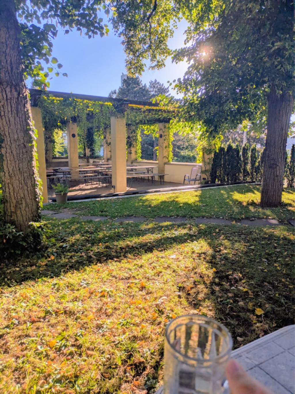 WG-Zimmer Ost Stafflenbergstr.66 - Garten und Pergola
