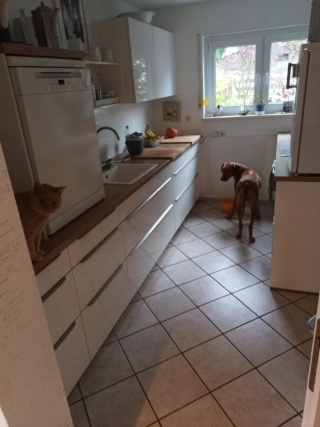 Anzeigenbild: Zimmer möbliert nah bei Wiesbaden - Küche gemeinsam