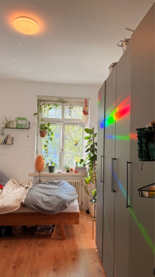 Anzeigenbild: helles, gemütliches WG Zimmer im Franz Viertel
