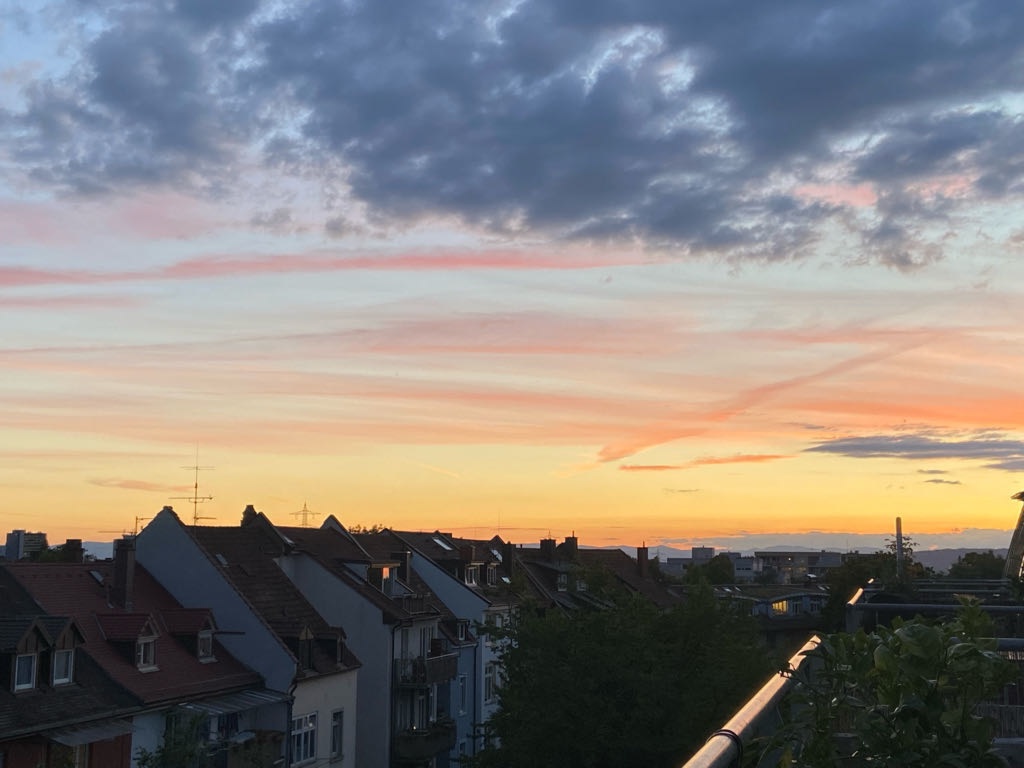 WG-Zimmer Stühlinger Eschholzstraße - Bild 7