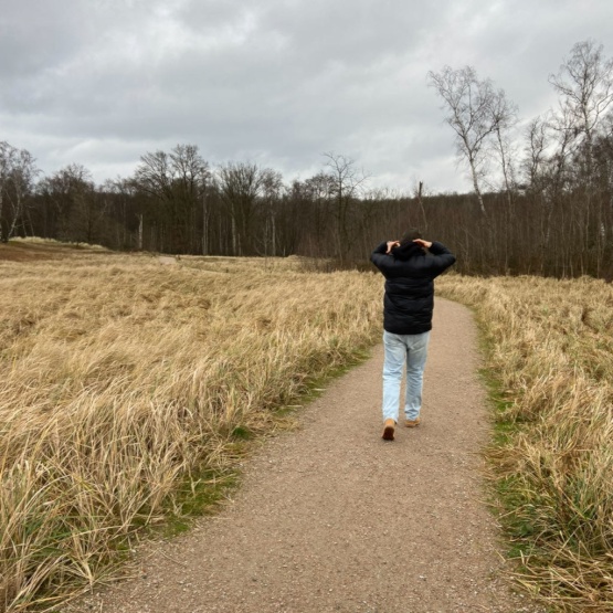 Anzeigenbild: Suche WG-Zimmer vom 01.01. - 31.03.2026