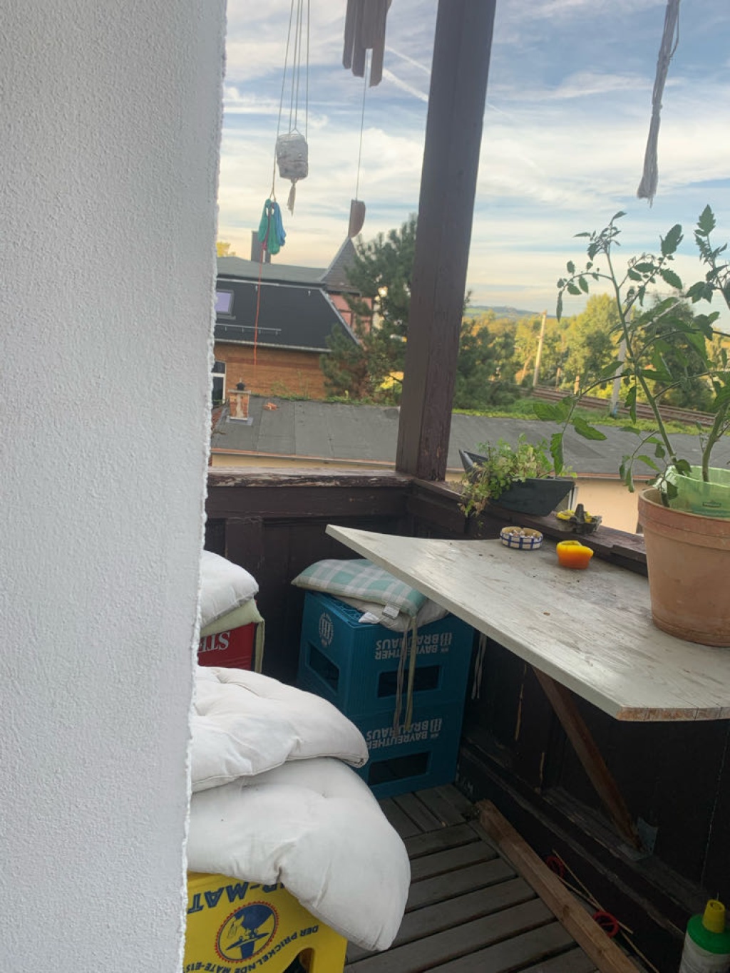 WG-Zimmer Zentrum Am Anger - Balkon mit Tomatenpflanze