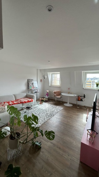 Helle 3-Zimmer-Wohnung (oder einzelnes Zimmer) in Mainz Neustadt – Zwischenmiete ab Mitte Oktober