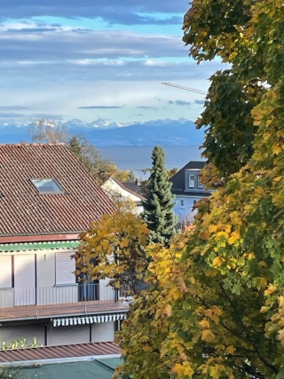 Anzeigenbild: Helles wohnung
