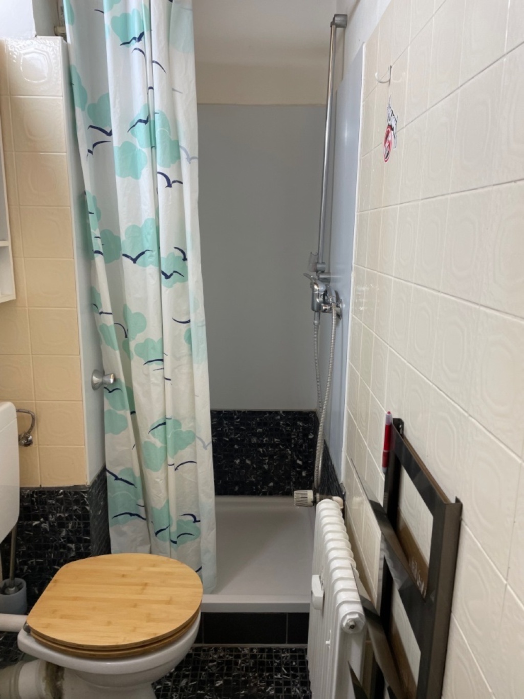1-Zimmer-Apartment - mit Kochnische, Badezimmer (Toilette mit Dusche) – 51103 Köln Kalk – Vorschaubild 7