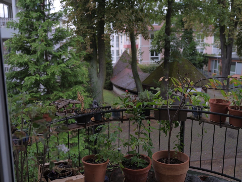 Wohnung Köpenick Niebergallstraße - Bild 4