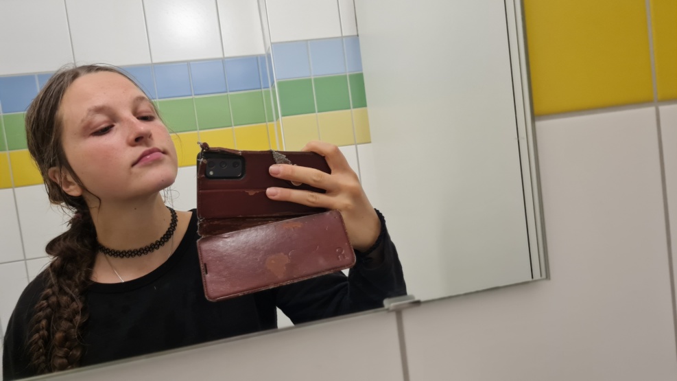 Anzeigenbild: Suche 1 Zimmer Wohnung!! dringend
