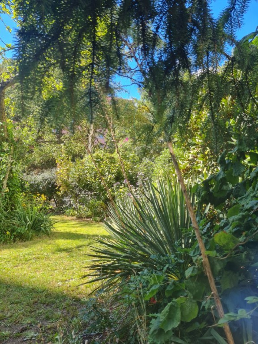 1-Zimmer-Wohnung mit Garten in Wedding