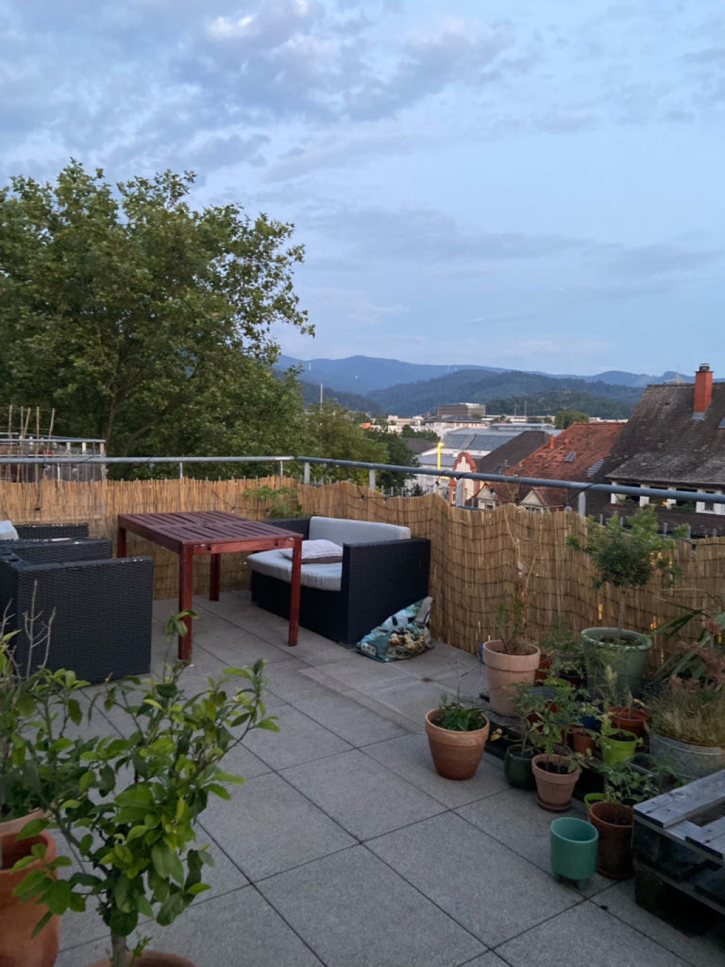 WG-Zimmer Stühlinger Eschholzstraße - Bild 2