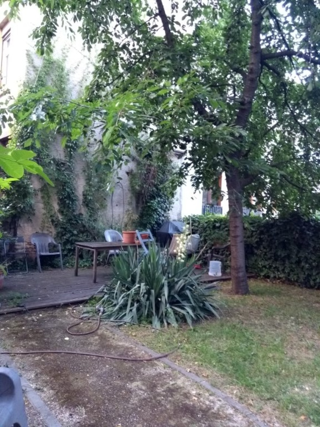 WG-Zimmer Bornheim Rendeler Straße - Bild 1