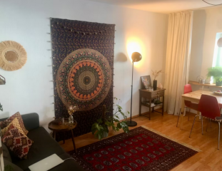 Ad image: EXCHANGE HOLDING: AREA Central 2-room apartment, SEARCH quiet 1/2-room apartment