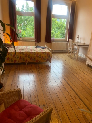 Anzeigenbild: Schönes helles Zimmer, 30 qm in der Langen Reihe