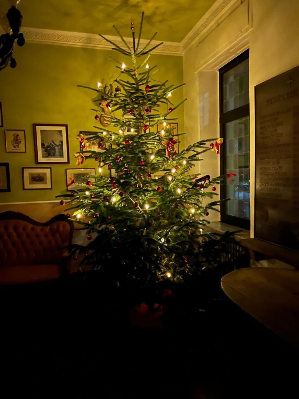 WG-Zimmer Zentrum Stephanstraße 6 - Der Weihnachtsbaum im Mainzer Zimmer