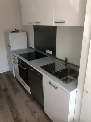 Anzeigenbild: Helle, renovierte 2-Zimmer-Wohnung, EBK, sonniger Südbalkon, Wanne, zentrale Lage, Hochschulnähe, WG-geeignet