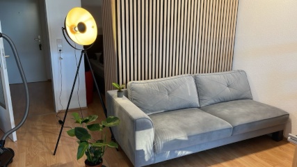 Anzeigenbild: Traumhaftes 1 Zimmer Apartment im Herzen Osnabrücks