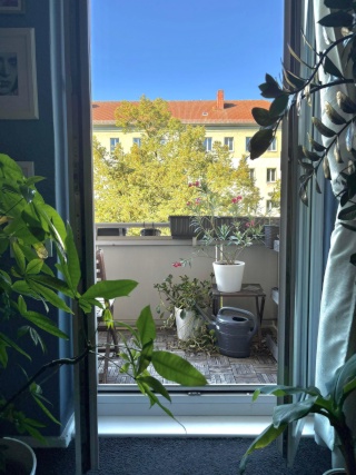 Gemütliche Wohnung mit Blick auf Fernsehturm sucht Zwischenmieter in Prenzlauer Berg — photo 1