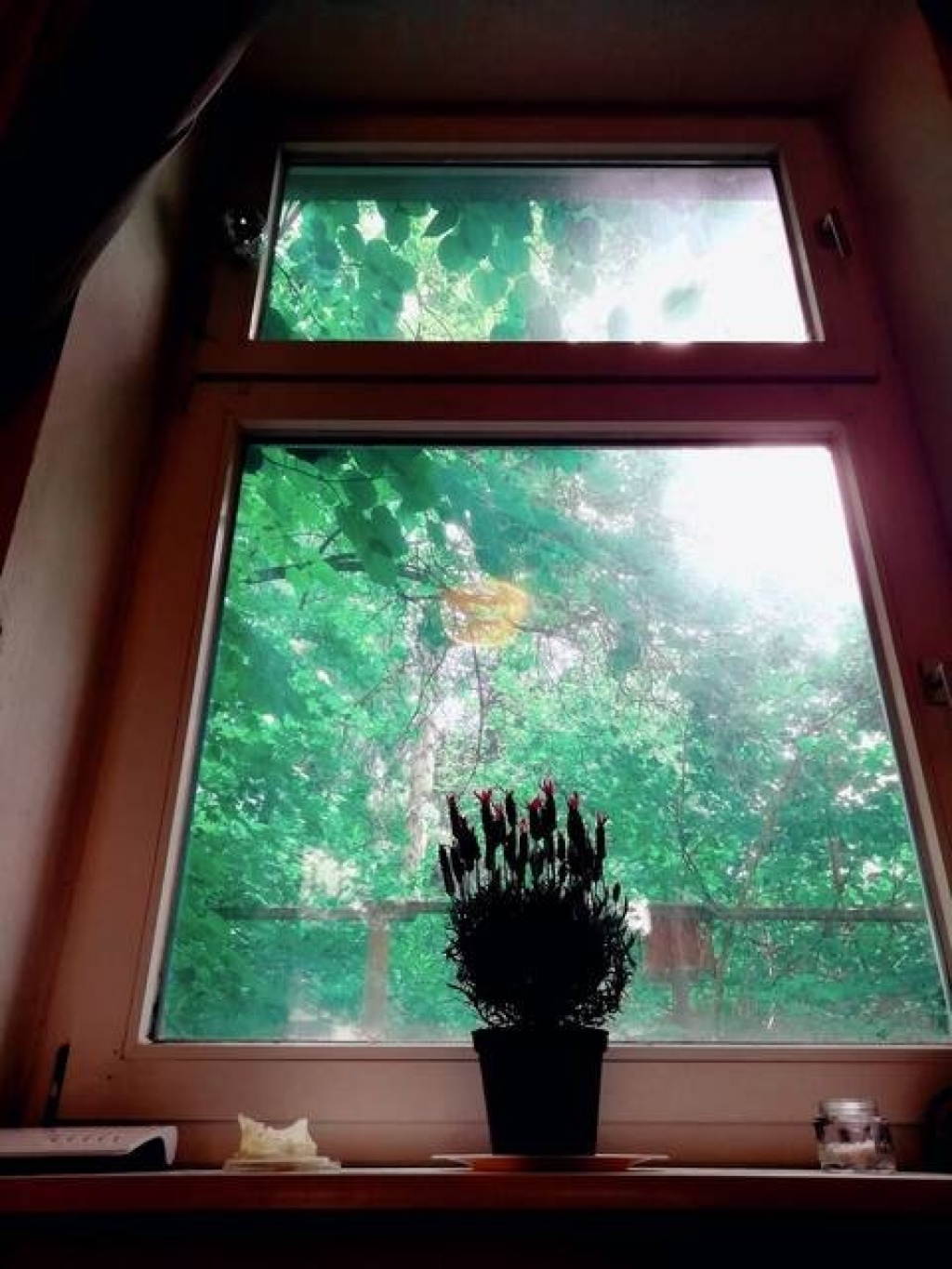 1 Room Flat Friedrichshain-Kreuzberg Reichenberger Straße - picture 8