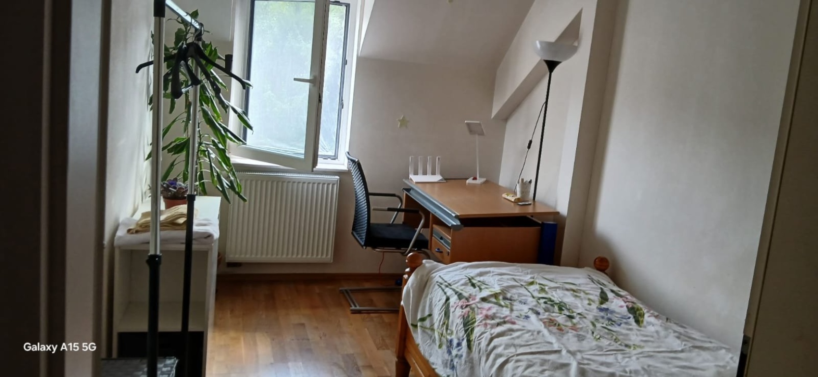 Flatshare Mammolshain Kronthaler Str. - picture 1