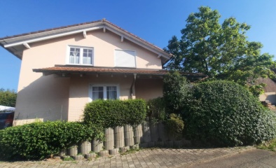 Imagen del anuncio: Pareja amigable para perros mirando