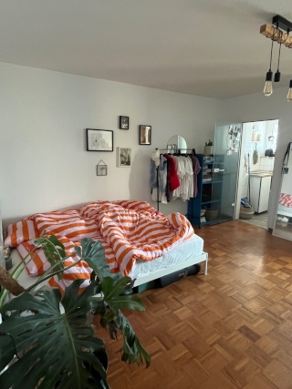 Apartamento central de 1 habitación con balcón – Suscriptor:en búsqueda