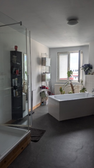 Anzeigenbild: WG tauglich 4 Zimmer Wohnung sucht nette(n) Mieter(innen) ab 01.12.2025