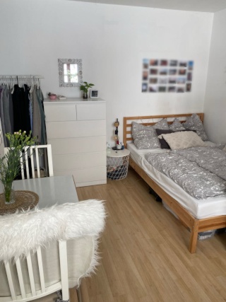 Anzeigenbild: schöne 1-Zimmer Wohnung an der Donau