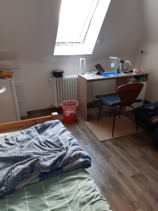 Ad image: Student rooms (furnished) in Erlangen-Zentrum-nah Schlossplatz