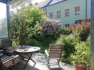 Anzeigenbild: Zimmer in gemütlicher 3er-WG mit Dschungelgartenterasse