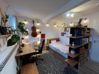 Anzeigenbild: Gemütliches WG-Zimmer im Herzen von Gießen