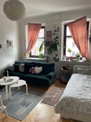 Anzeigenbild: WG-Zimmer in Altbau, Nähe Donau
