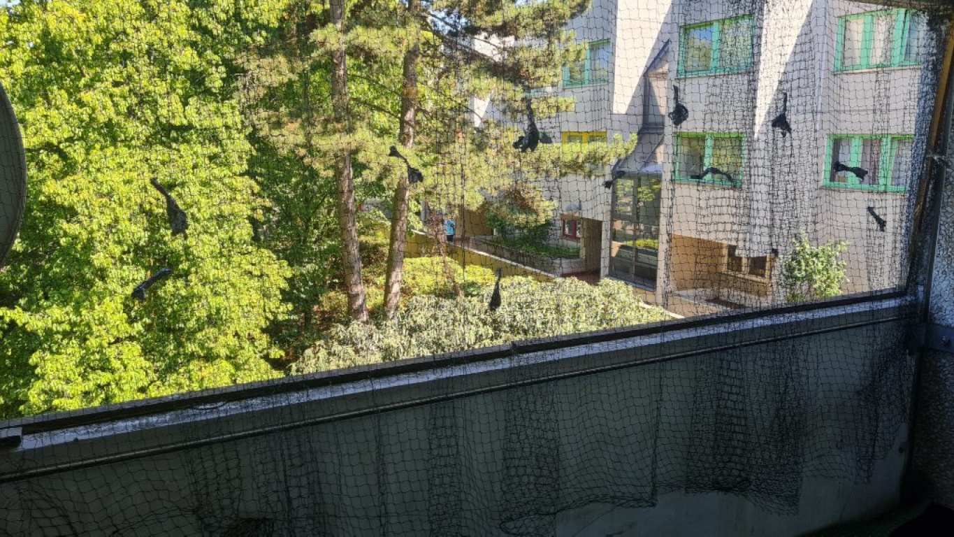 WG-Zimmer in Neukölln – Foto 8