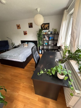 Anzeigenbild: WG- Zimmer