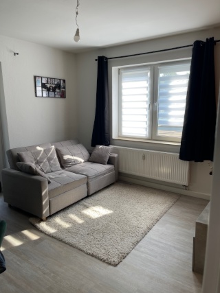 Ad image: Searched for 2 room apartment with balcony in Seidnitz