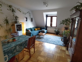 Anzeigenbild: WG-Neugründung Neckarstadt-West