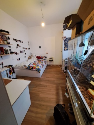 Anzeigenbild: Mitbewohner*in für 1 Jahr+ für schönes unmöbliertes WG Zimmer in der Bonner Innenstadt gesucht