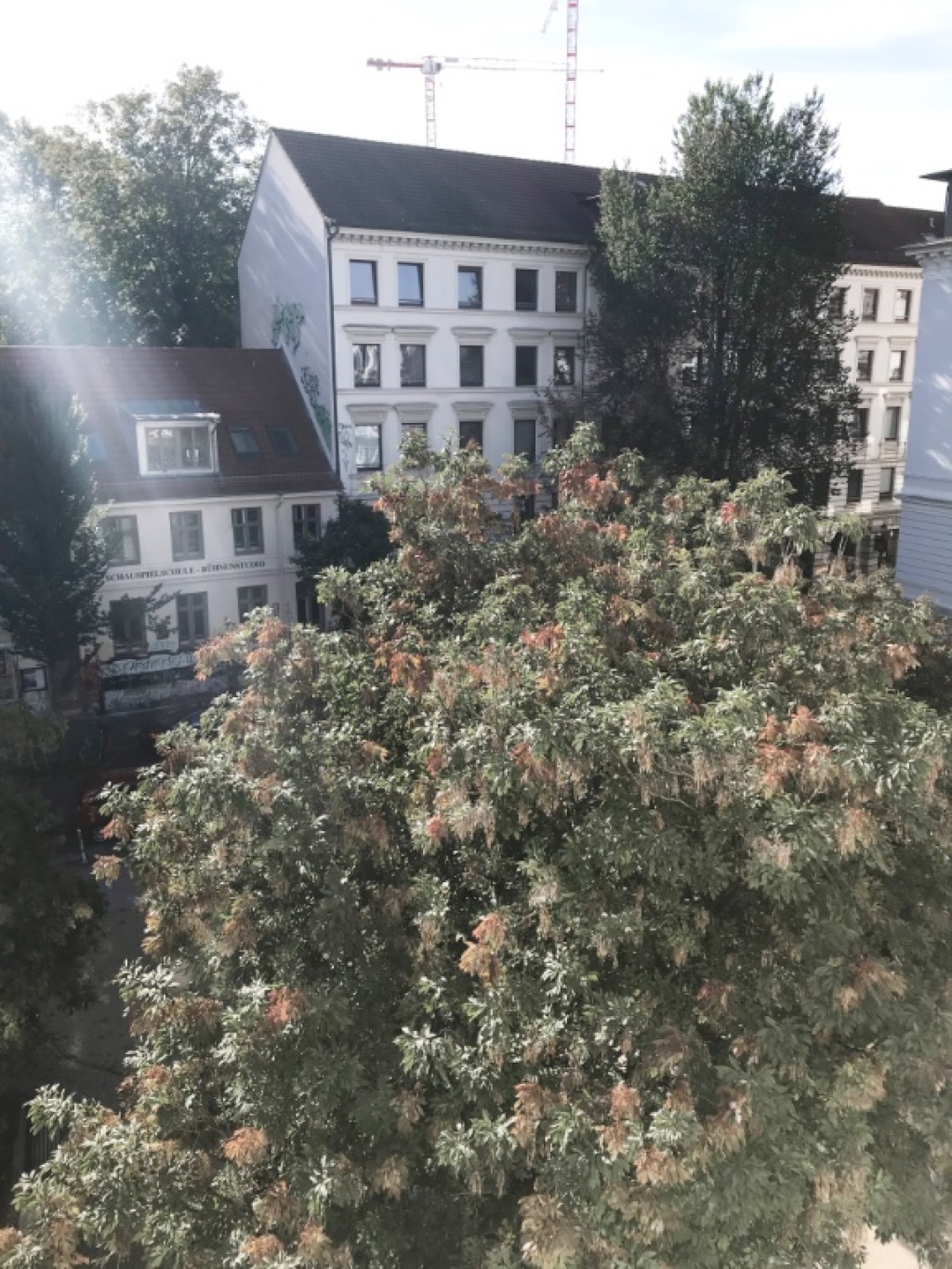 3-Z.-Whg im Karoviertel/Schanze zur Untermiete für 6 Monate – Marktstr. 125a, 20357 Hamburg St. Pauli – Vorschaubild 8
