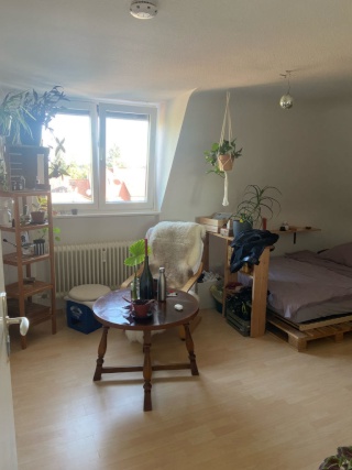Anzeigenbild: Einzelzimmer (~15qm) in 4er-WG für 480€ ab jetzt bis zum 07.02.25 zur Untermiete verfügbar