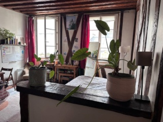 Ad image: Cosy studio in the center of Paris for Christmas & New Year