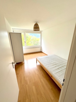 Anzeigenbild: Suchen eine*n neue*n Mitbewohner*in