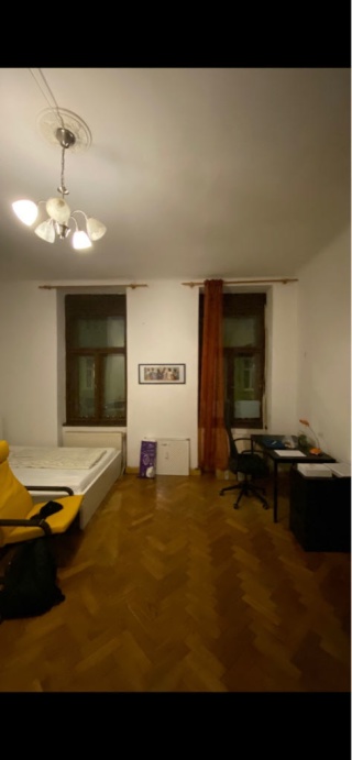 Anzeigenbild: Großes WG Zimmer Nähe KF und Alte Technik