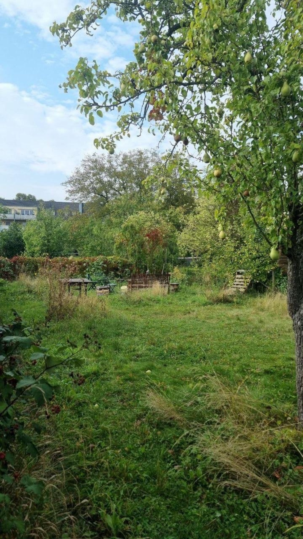 Habitación en WG Westhoven Engelstraße 6 - Garten