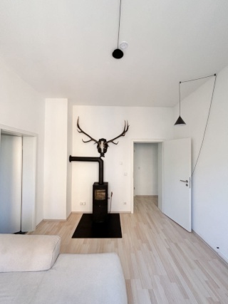 Anzeigenbild: Moderne, sanierte 2-Zimmer-Wohnung mit Kamin und Klimaanlage