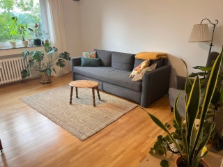 Anzeigenbild: 6 Tage Zwischenmiete mit Katze