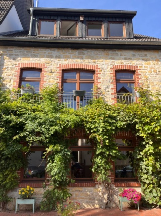 Anzeigenbild: Gemeinschaftliche Haus WG sucht fünfte Mitbewohni (FLINTA*)