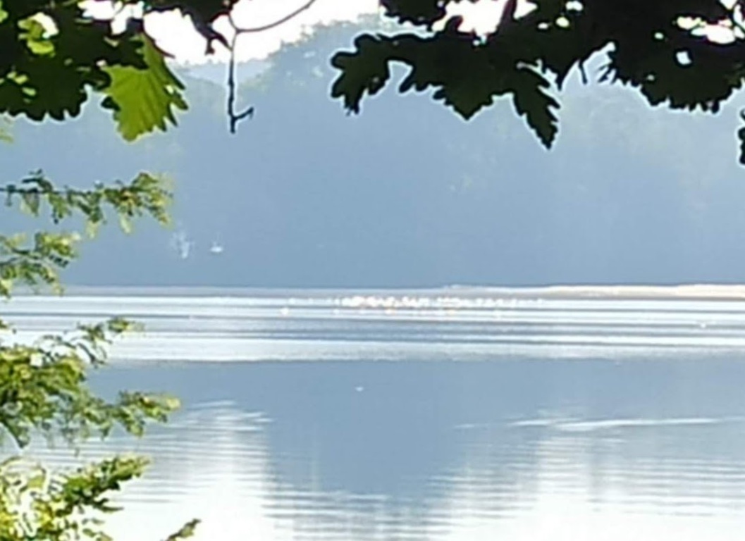 WG-Zimmer Kladow Neukladower Allee - Der Wannsee
