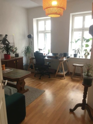 Anzeigenbild: Zwischenmiete in Plagwitz – gemütliche, grüne 2-Zimmer-Wohnung mit schöner Küche (1–2 Monate)