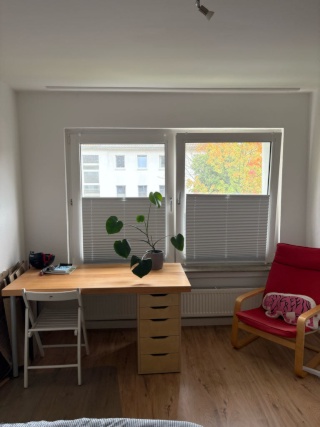 Anzeigenbild: Gemütliches Zimmer in 3er WG BITTE KEINE MÄNNER DANKE