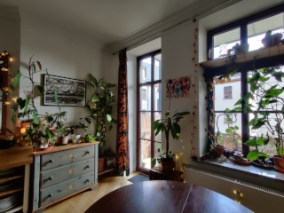 Anzeigenbild: Ruhige, grüne 2-Zimmer-Wohnung in Plagwitz zur Untermiete Mitte November bis Mitte April
