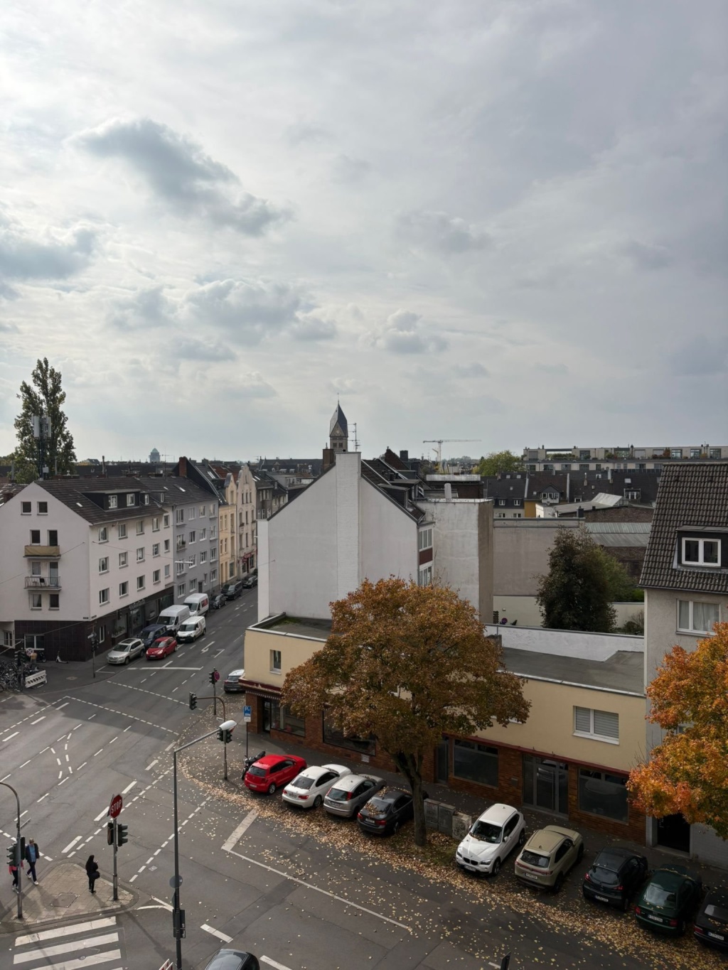 WG-Zimmer Sülz Berrenrather Straße 138 - Blick aus dem Zimmer