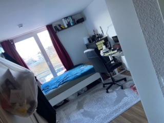 voll möbliert 1 Zimmer Ferienwohnung Aachen - Newton Apartments
